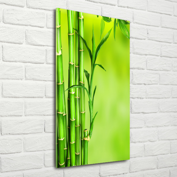 Cuadro decorativo en acrílico brillante vertical Bambú