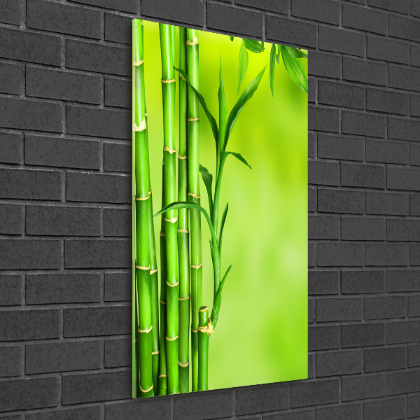 Cuadro decorativo en acrílico brillante vertical Bambú