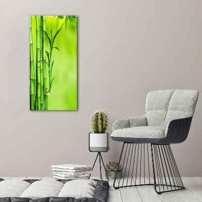 Cuadro decorativo en acrílico brillante vertical Bambú