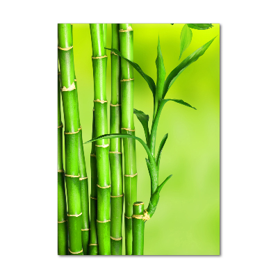 Cuadro decorativo en acrílico brillante vertical Bambú