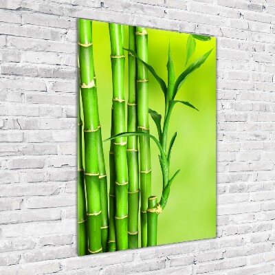 Cuadro decorativo en acrílico brillante vertical Bambú