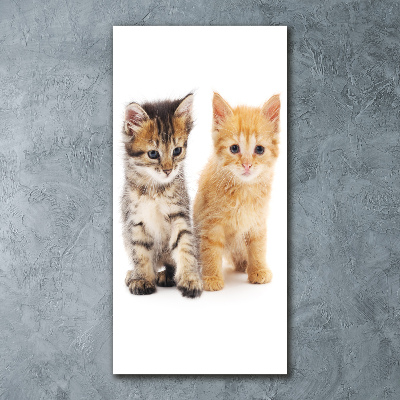 Cuadro de metacrilato vertical Gato gris y jengibre