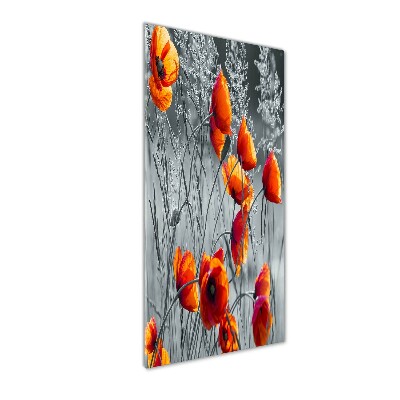 Cuadro de metacrilato vertical Amapolas de campo