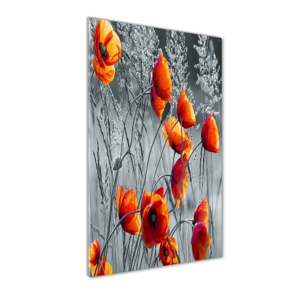 Cuadro de metacrilato vertical Amapolas de campo