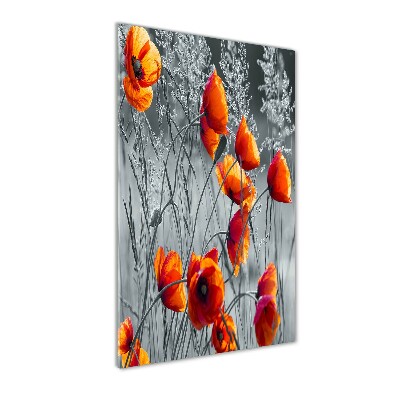 Cuadro de metacrilato vertical Amapolas de campo