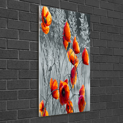 Cuadro de metacrilato vertical Amapolas de campo