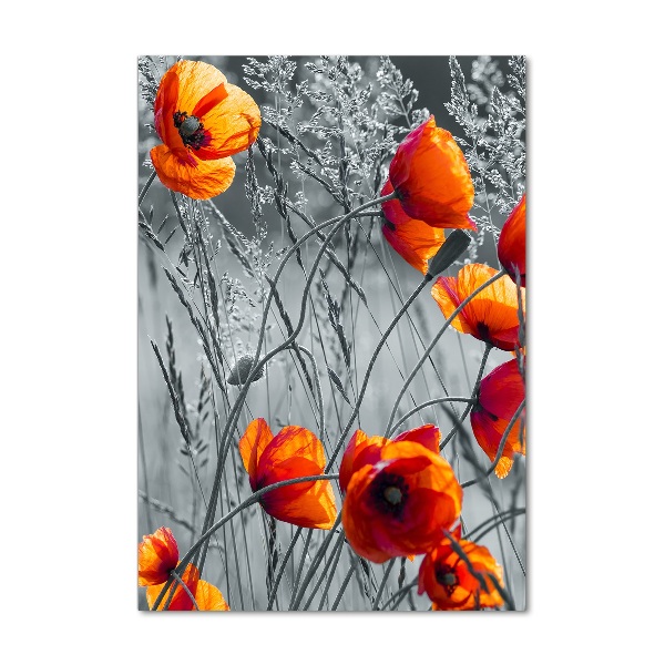 Cuadro de metacrilato vertical Amapolas de campo