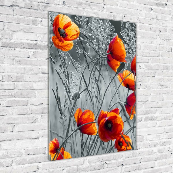 Cuadro de metacrilato vertical Amapolas de campo