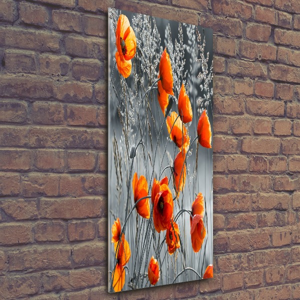 Cuadro de metacrilato moderno efecto cristal vertical Amapolas de campo
