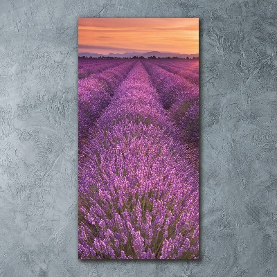Impresión en metacrilato de alta calidad vertical campo de lavanda