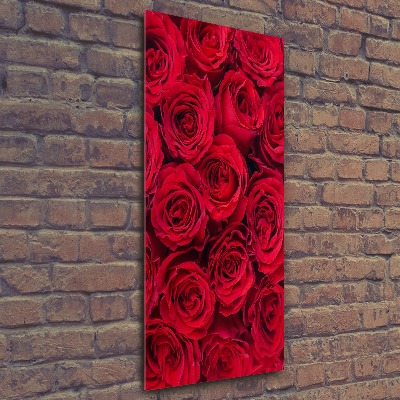Cuadro de metacrilato vertical Rosa roja