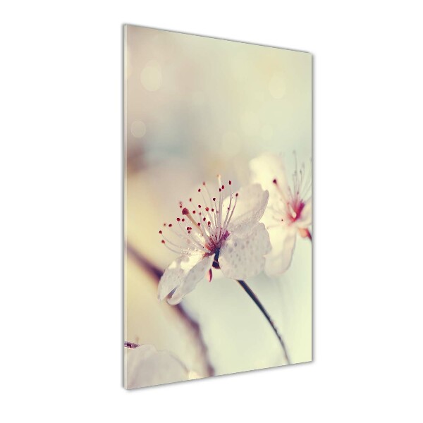 Impresión en metacrilato de alta calidad vertical flores de cerezo