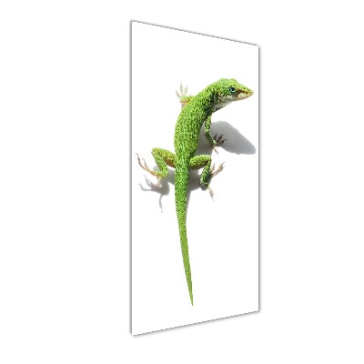 Cuadro decorativo en acrílico brillante vertical lagarto verde