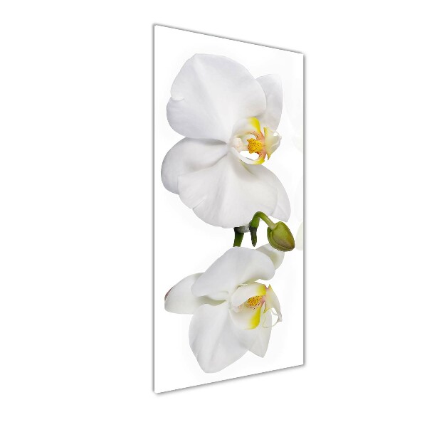 Impresión en metacrilato de alta calidad vertical Orquídea blanca