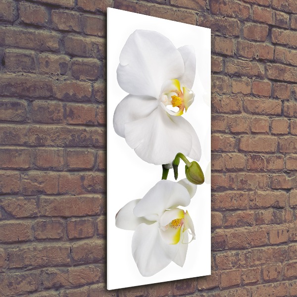 Impresión en metacrilato de alta calidad vertical Orquídea blanca