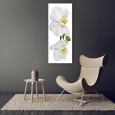 Impresión en metacrilato de alta calidad vertical Orquídea blanca