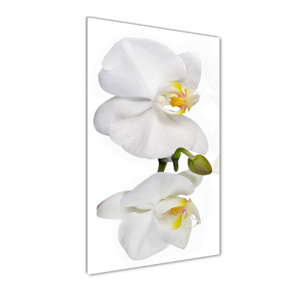 Impresión en metacrilato de alta calidad vertical Orquídea blanca
