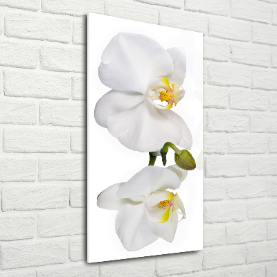 Impresión en metacrilato de alta calidad vertical Orquídea blanca