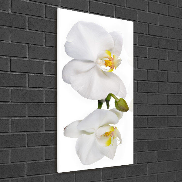 Impresión en metacrilato de alta calidad vertical Orquídea blanca