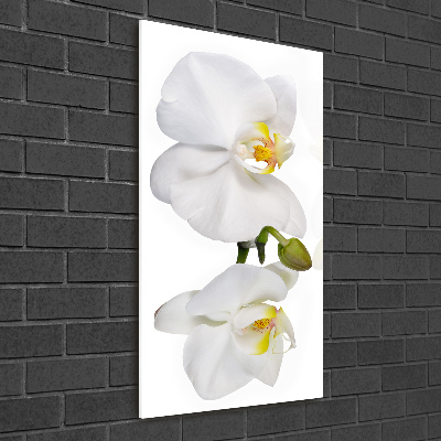 Impresión en metacrilato de alta calidad vertical Orquídea blanca