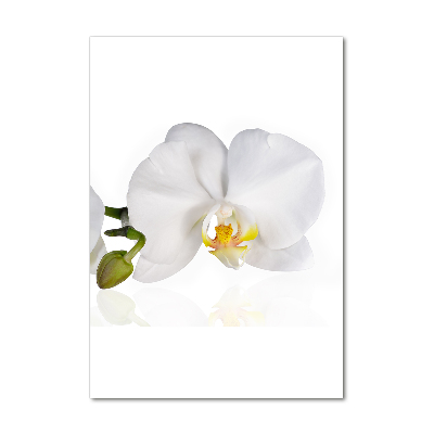 Impresión en metacrilato de alta calidad vertical Orquídea blanca
