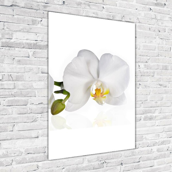 Impresión en metacrilato de alta calidad vertical Orquídea blanca