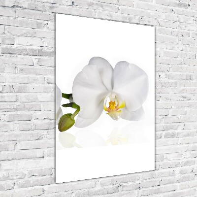Impresión en metacrilato de alta calidad vertical Orquídea blanca