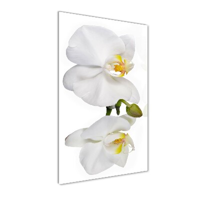 Impresión en metacrilato de alta calidad vertical Orquídea blanca