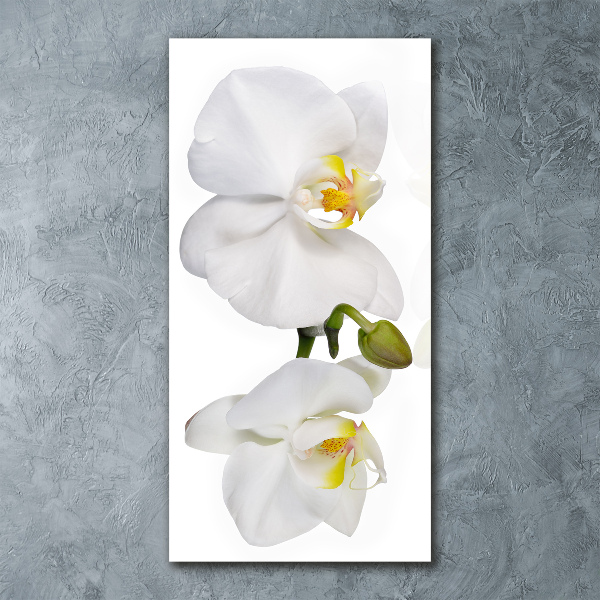 Impresión en metacrilato de alta calidad vertical Orquídea blanca