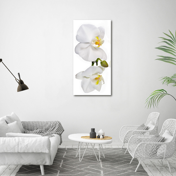 Impresión en metacrilato de alta calidad vertical Orquídea blanca