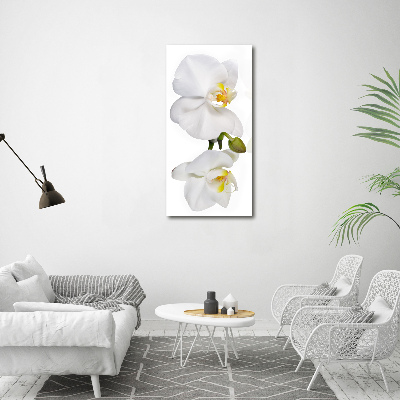 Impresión en metacrilato de alta calidad vertical Orquídea blanca