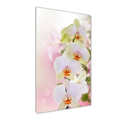 Cuadro decorativo en acrílico brillante vertical Orquídea blanca