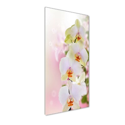 Cuadro decorativo en acrílico brillante vertical Orquídea blanca