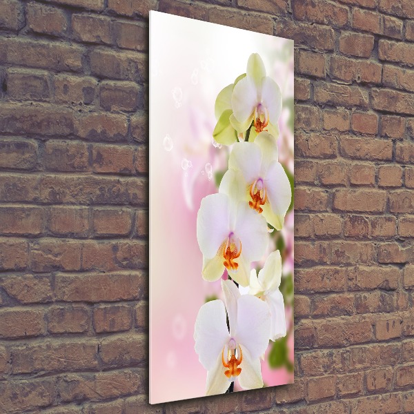 Cuadro decorativo en acrílico brillante vertical Orquídea blanca