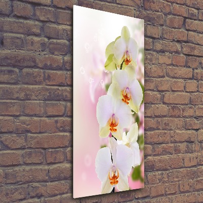 Cuadro decorativo en acrílico brillante vertical Orquídea blanca
