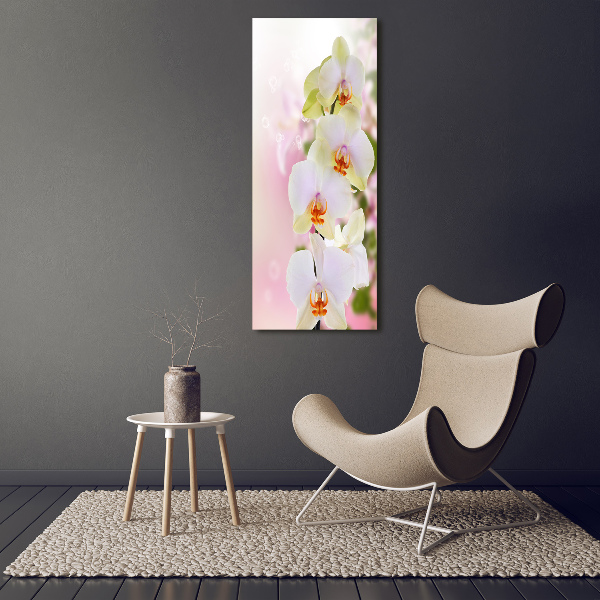 Cuadro decorativo en acrílico brillante vertical Orquídea blanca