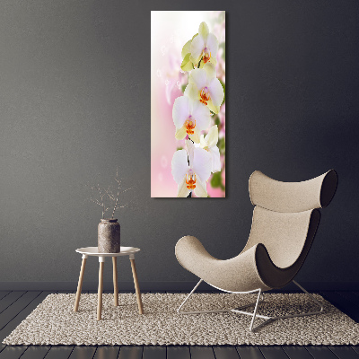 Cuadro decorativo en acrílico brillante vertical Orquídea blanca