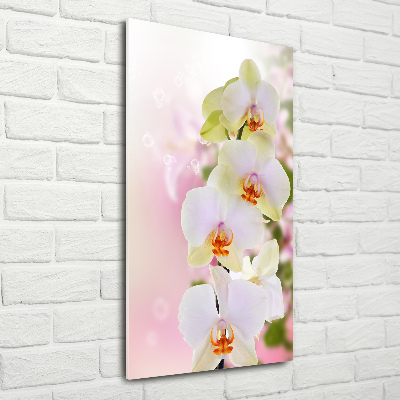 Cuadro decorativo en acrílico brillante vertical Orquídea blanca