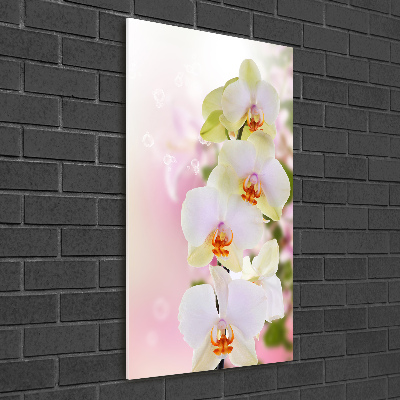 Cuadro decorativo en acrílico brillante vertical Orquídea blanca