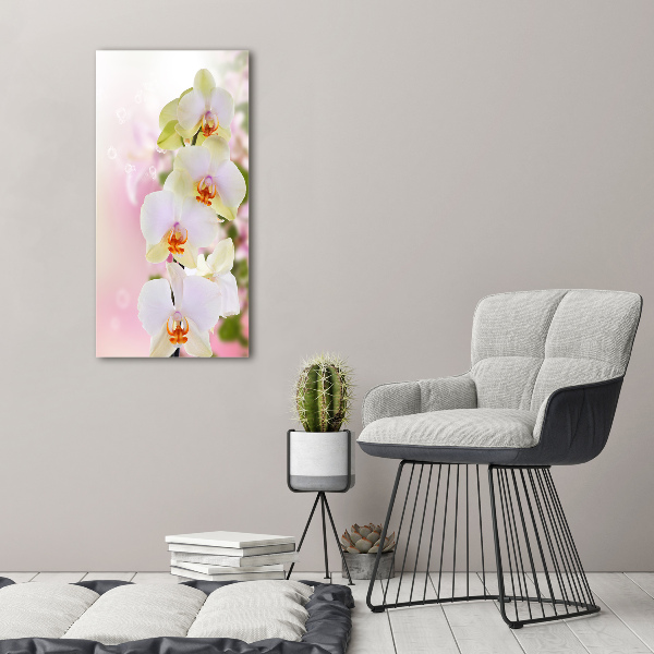 Cuadro decorativo en acrílico brillante vertical Orquídea blanca