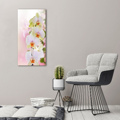 Cuadro decorativo en acrílico brillante vertical Orquídea blanca