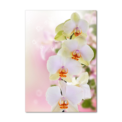 Cuadro decorativo en acrílico brillante vertical Orquídea blanca