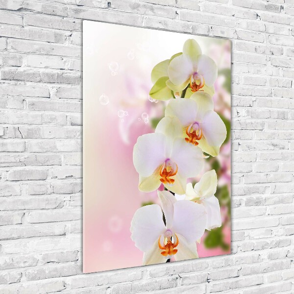 Cuadro decorativo en acrílico brillante vertical Orquídea blanca