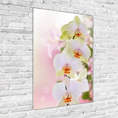 Cuadro decorativo en acrílico brillante vertical Orquídea blanca