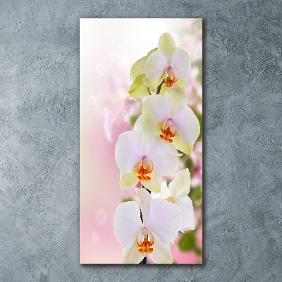 Cuadro decorativo en acrílico brillante vertical Orquídea blanca