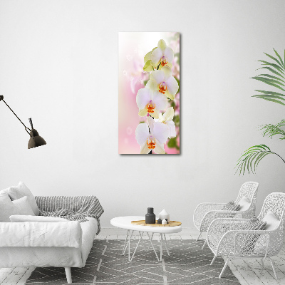 Cuadro decorativo en acrílico brillante vertical Orquídea blanca