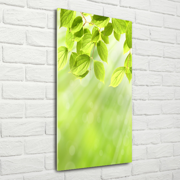 Cuadro decorativo en acrílico brillante vertical hojas verdes