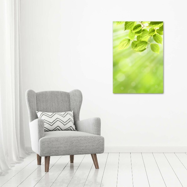 Cuadro decorativo en acrílico brillante vertical hojas verdes