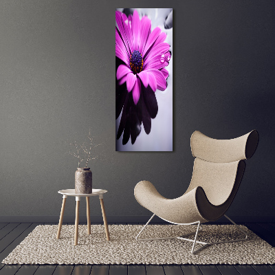 Impresión en metacrilato de alta calidad vertical Gerbera rosa