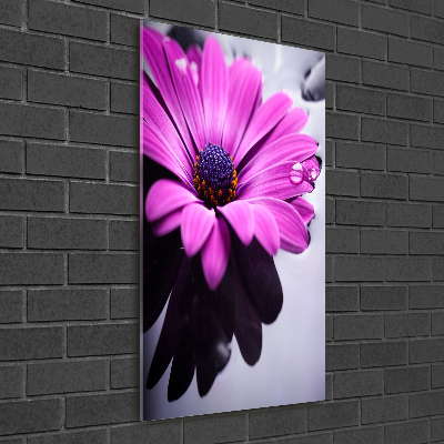 Impresión en metacrilato de alta calidad vertical Gerbera rosa